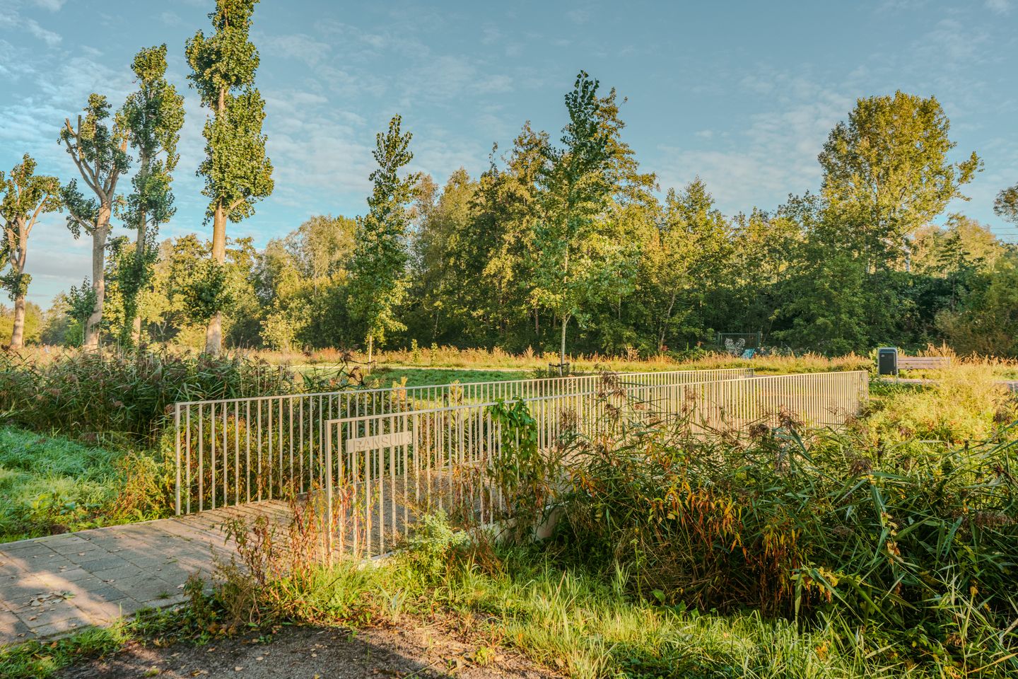 Photo 34 of Martin Luther Kinglaan 298