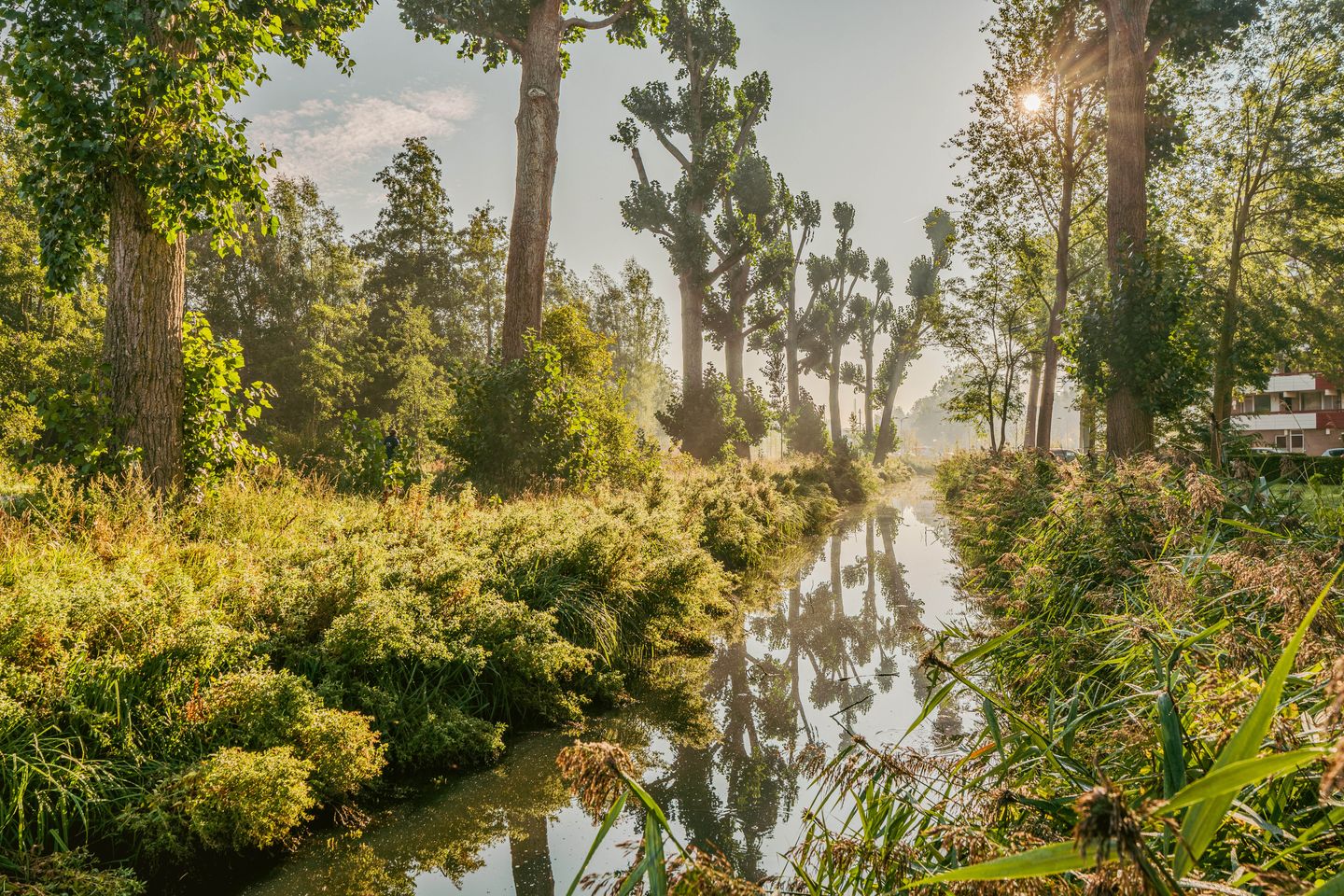 Photo 35 of Martin Luther Kinglaan 298