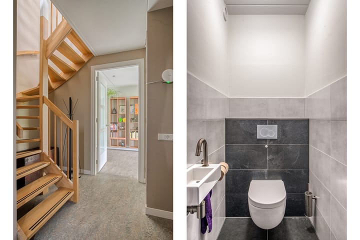 Foto 6 van Koolmees 5