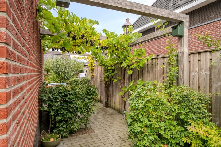 Foto 39 van Koolmees 5