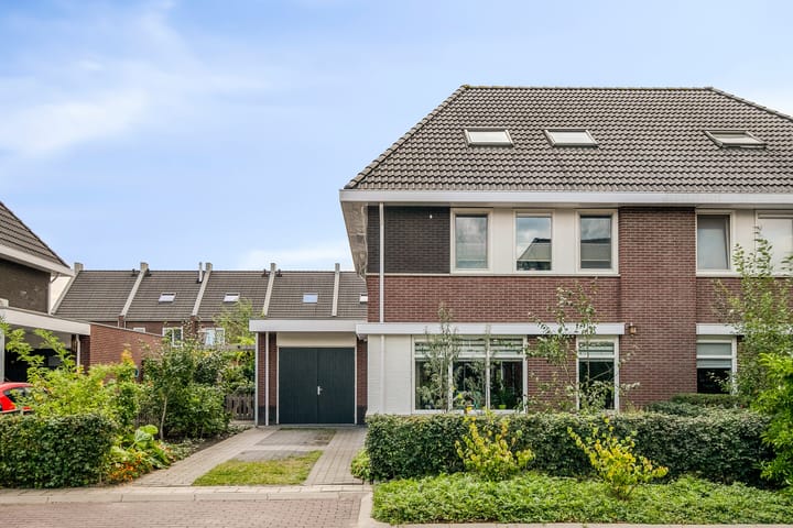 Foto 49 van Koolmees 5