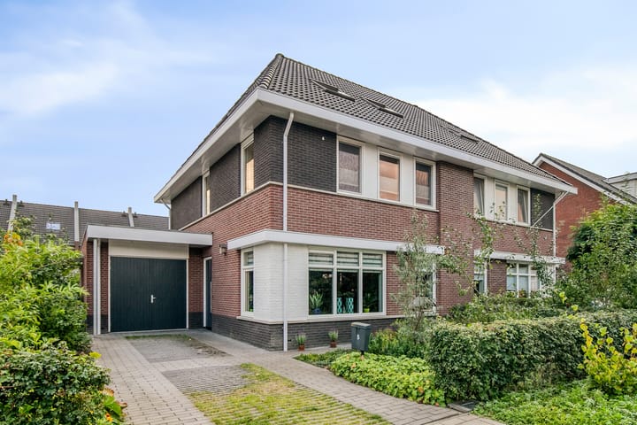 Foto 50 van Koolmees 5