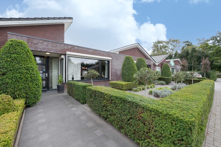 Foto 3 van Monte Libretti 20