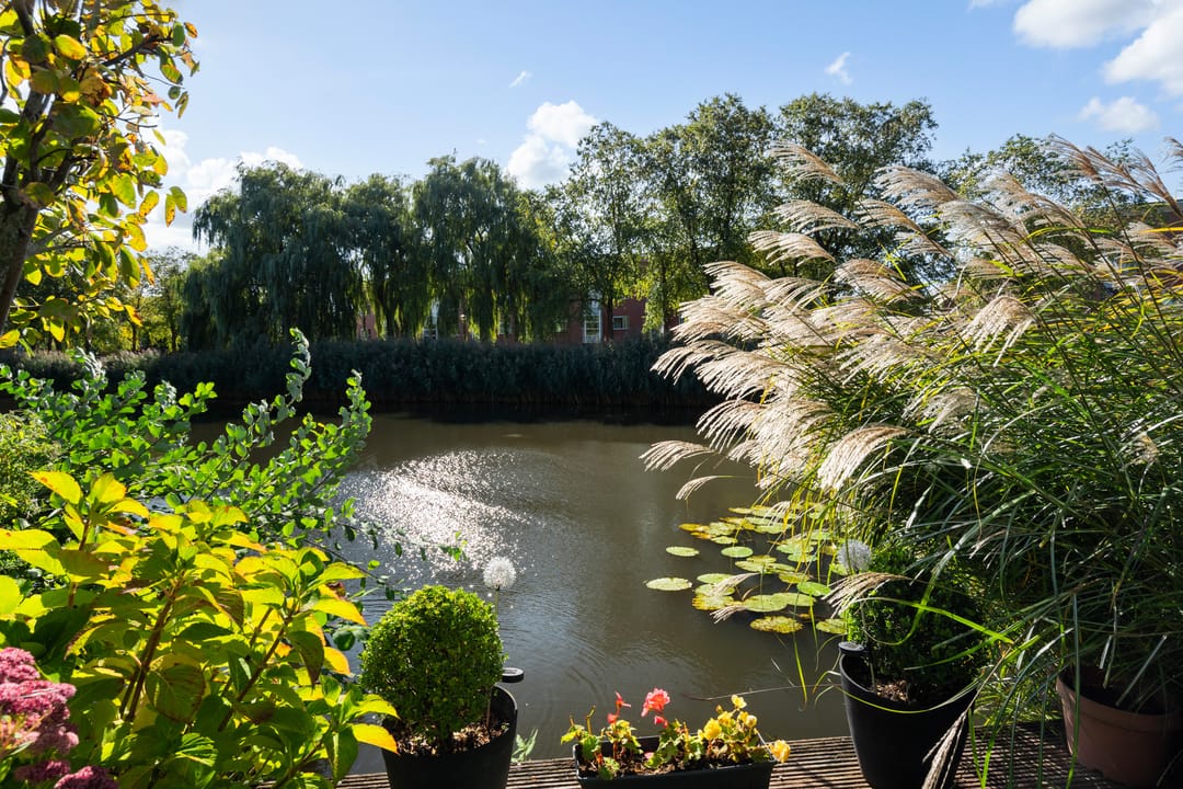 Foto 53 van Jerseykade 24