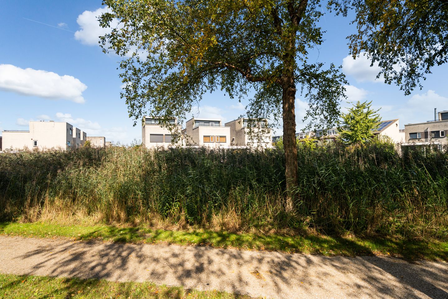 Foto 59 van Jerseykade 24