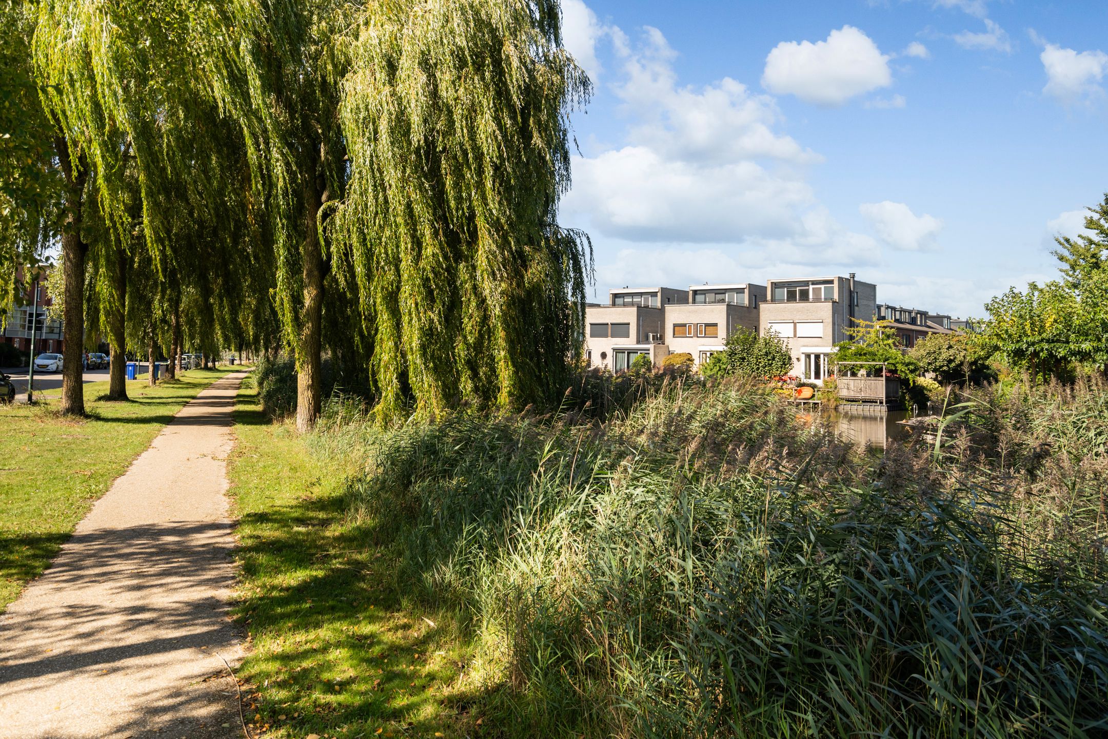 Foto 60 van Jerseykade 24