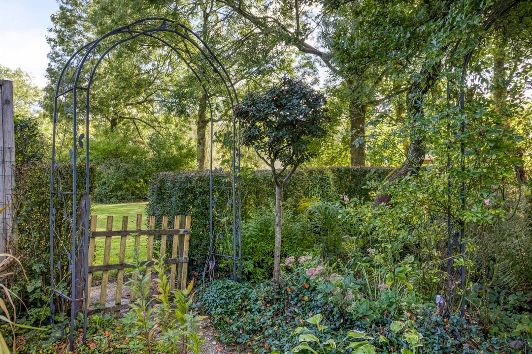 Foto 31 van Meijhorst 2058