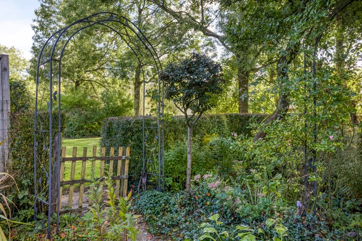 Foto 31 van Meijhorst 2058