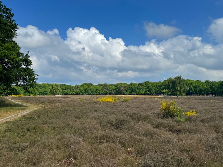 Foto 29 van Meentweg 55