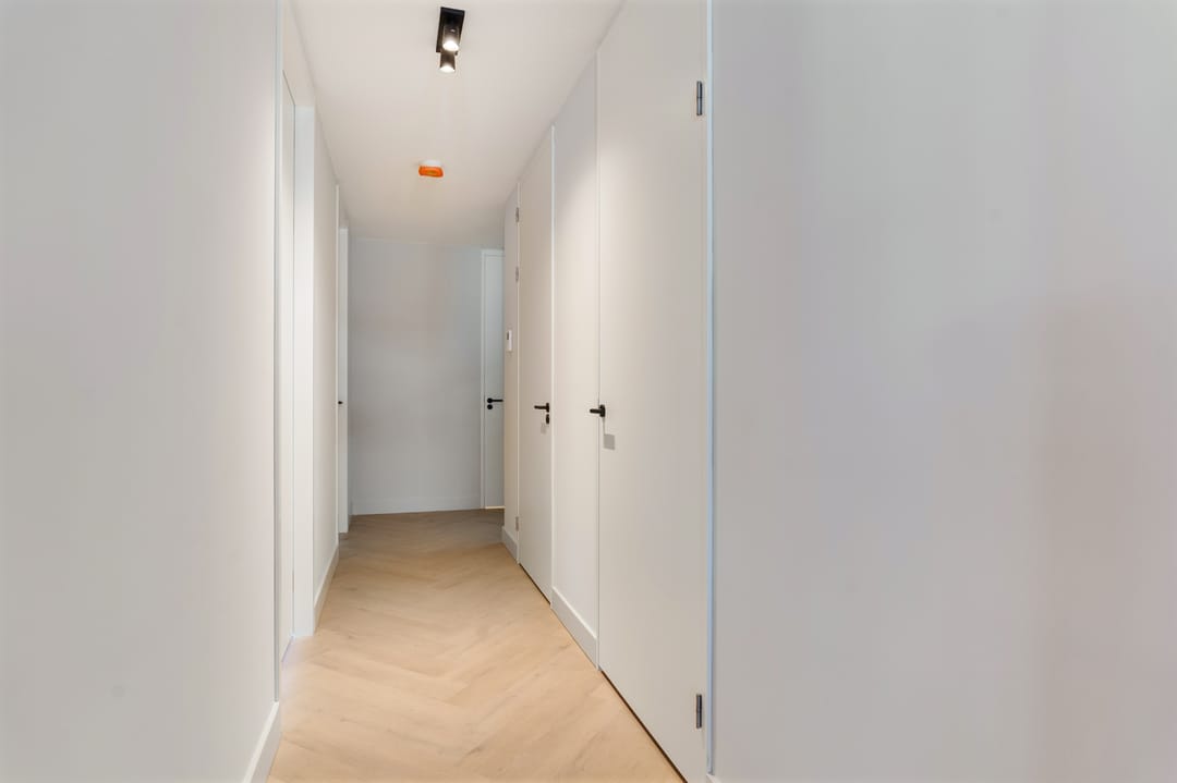 Photo 39 of Triadome