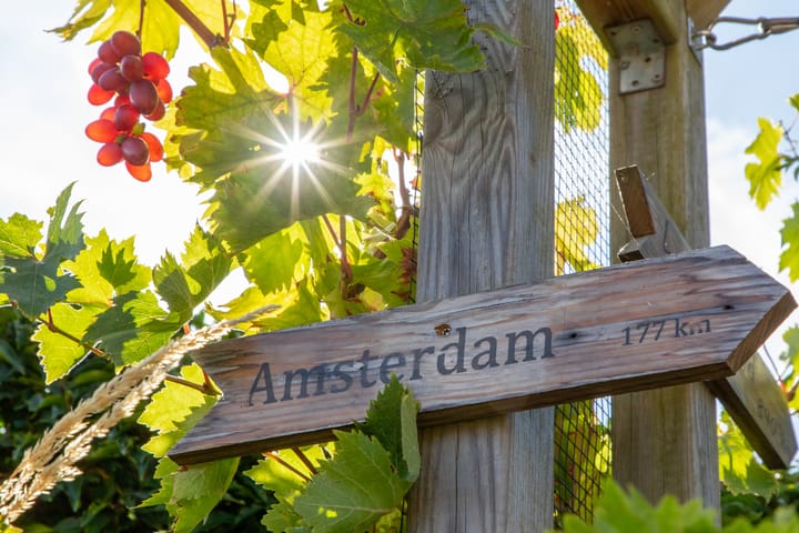 Foto 38 van de Ruyterstraat 6