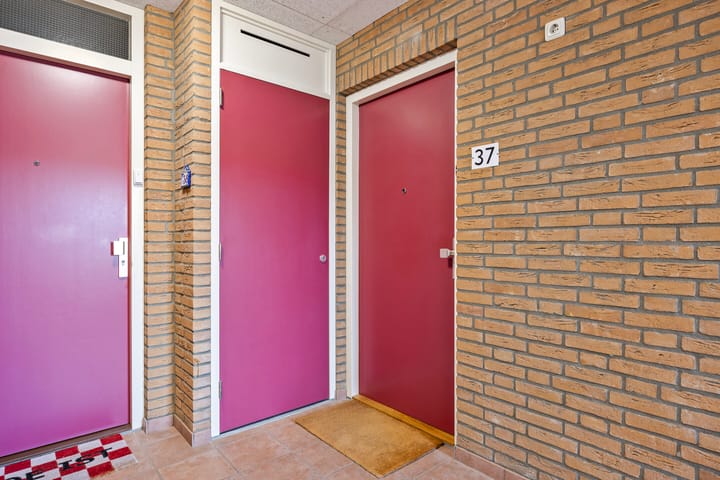 Photo 5 of Stiffelio 37