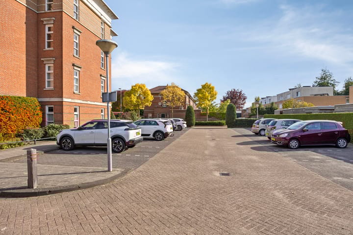 Foto 27 van Stiffelio 37