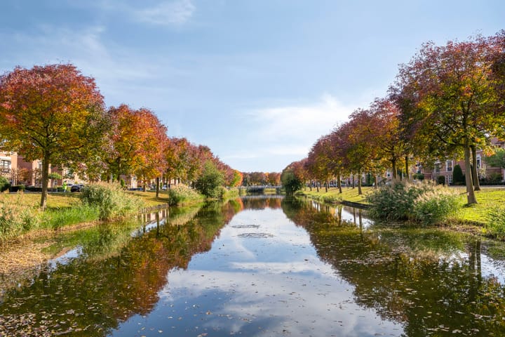 Foto 30 van Stiffelio 37