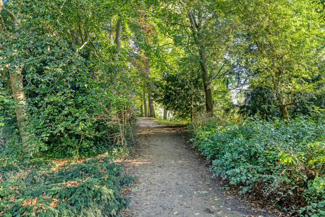 Foto 38 van Selwerderdwarsstraat 10