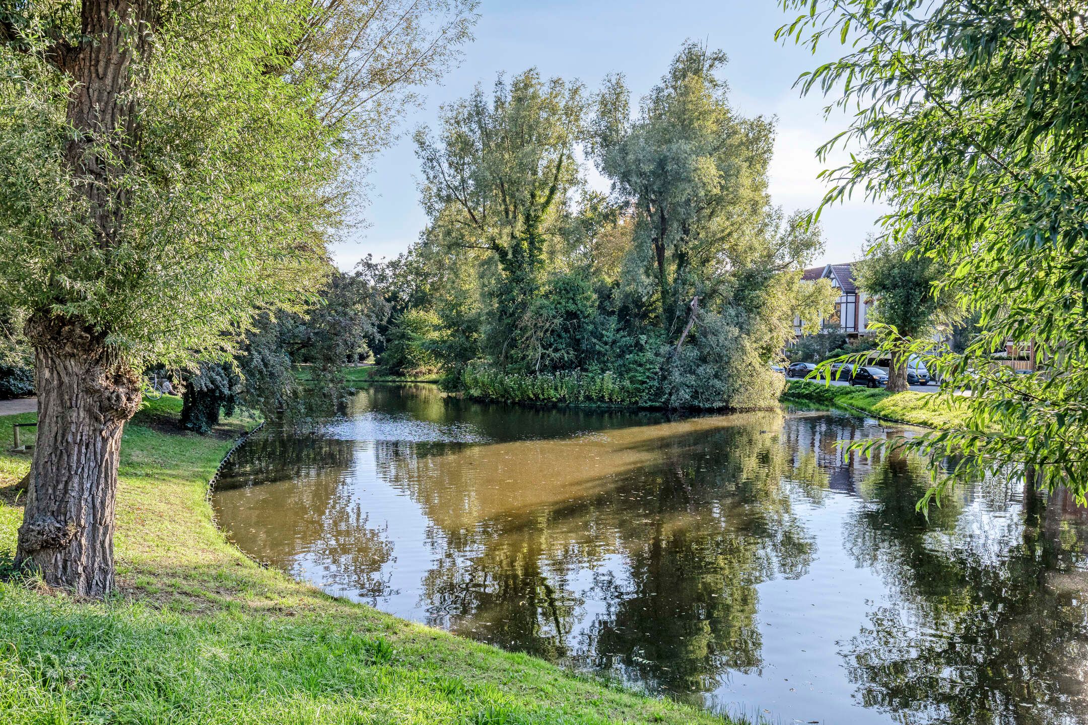 Foto 39 van Selwerderdwarsstraat 10