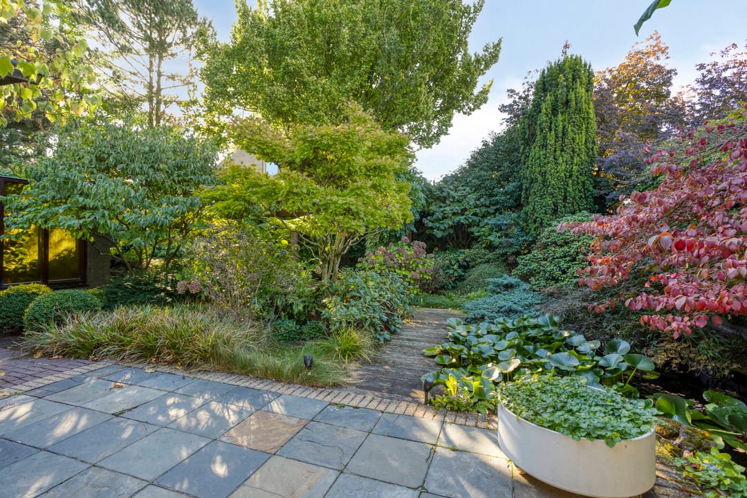 Photo 2 of 't Hofke 77