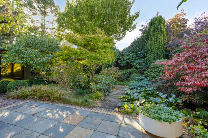 Foto 2 van 't Hofke 77