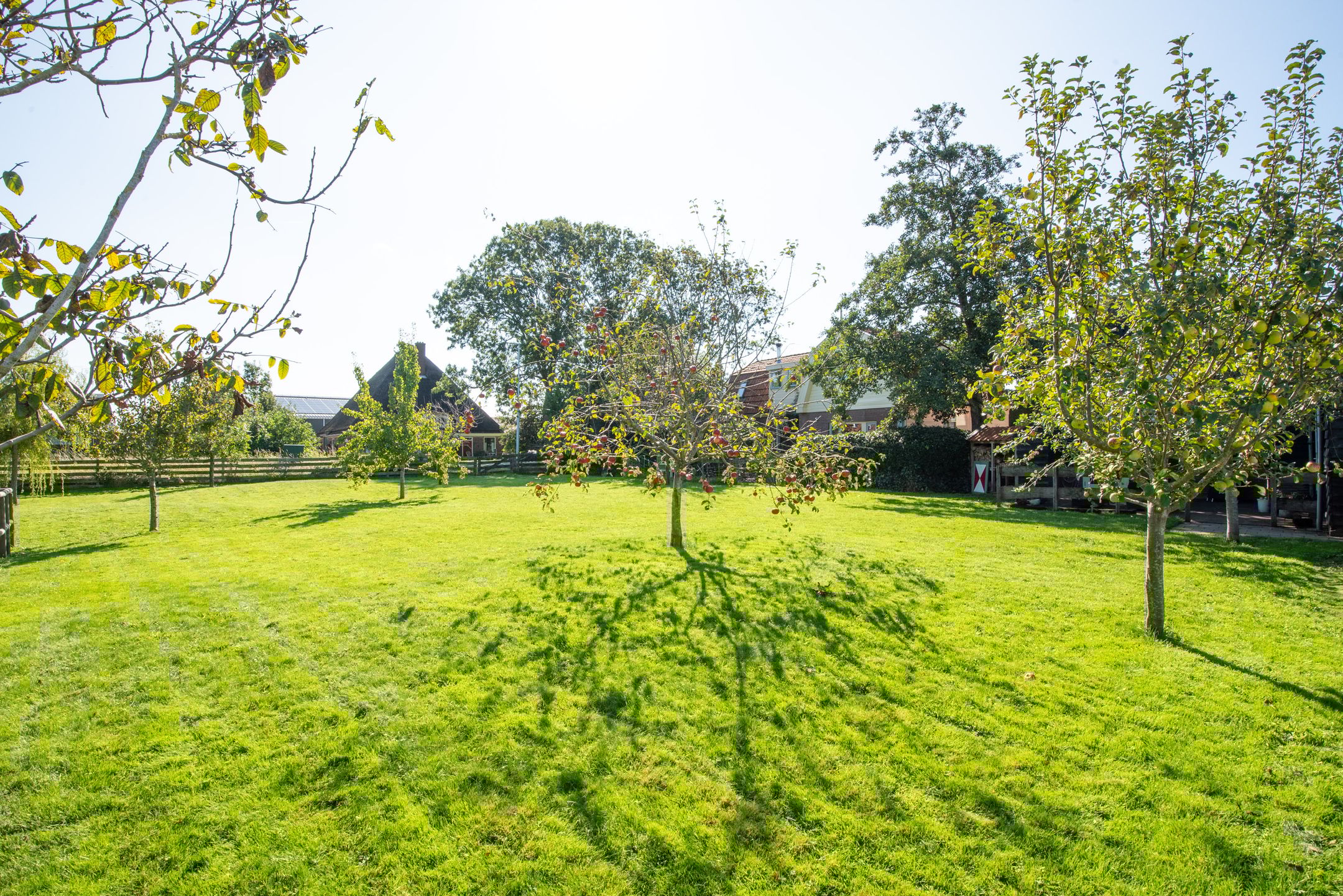 Foto 69 van Dorpsweg 14