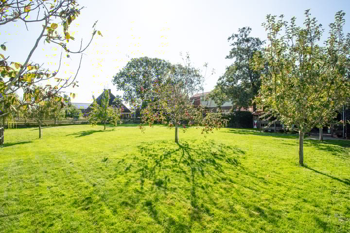 Photo 69 of Dorpsweg 14