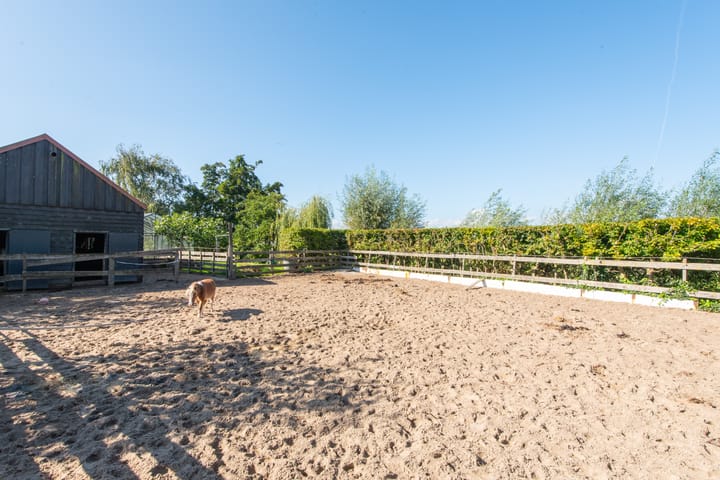 Photo 70 of Dorpsweg 14