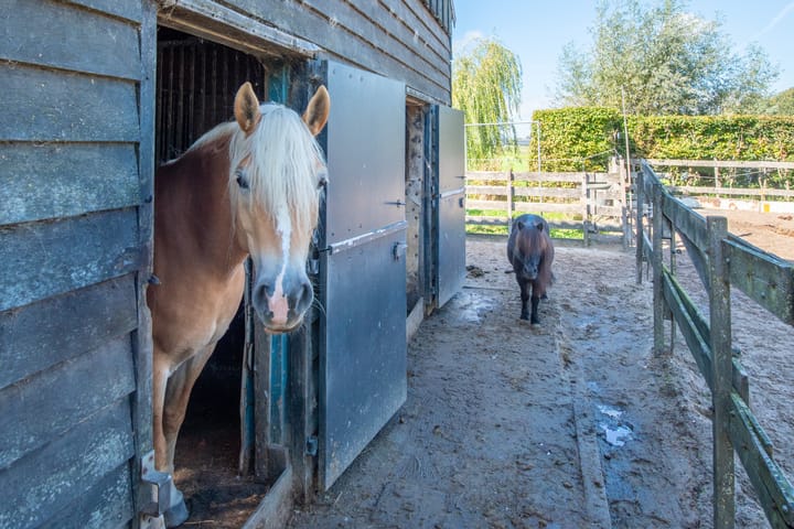 Photo 72 of Dorpsweg 14