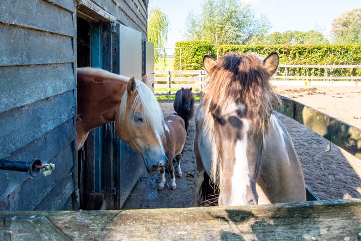 Photo 73 of Dorpsweg 14