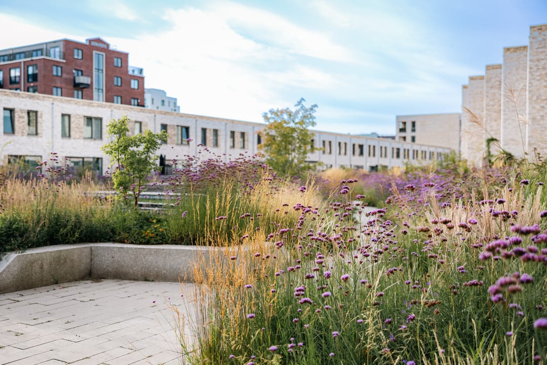 Foto 23 van Industriestraat 73