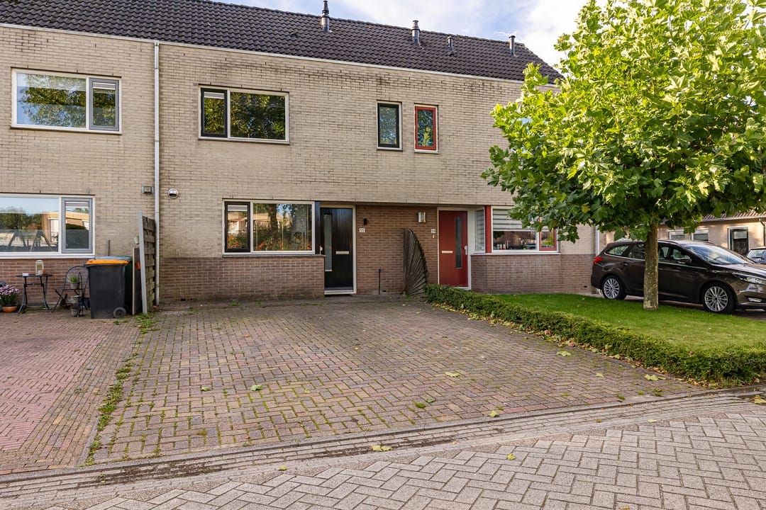 Foto 1 van Tortelduif 55