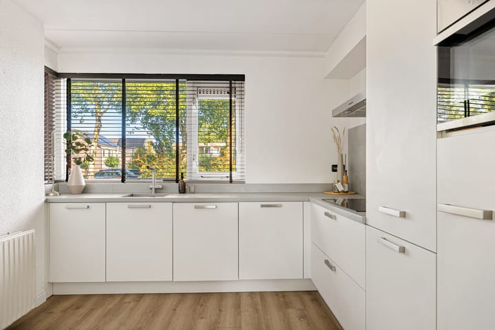 Foto 6 van Tortelduif 55