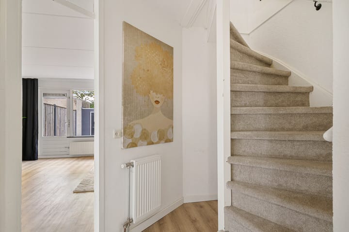 Foto 9 van Tortelduif 55