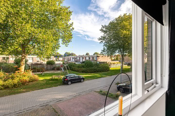 Foto 11 van Tortelduif 55