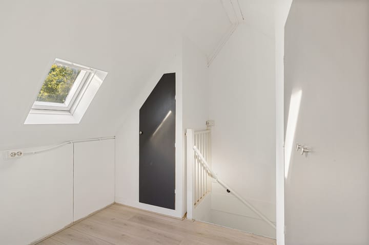 Foto 17 van Tortelduif 55