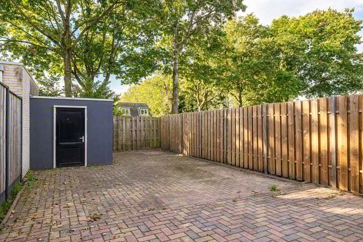 Foto 19 van Tortelduif 55