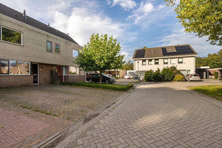 Foto 21 van Tortelduif 55