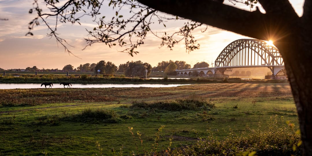 Foto 2 van Het Engelse Werk 1