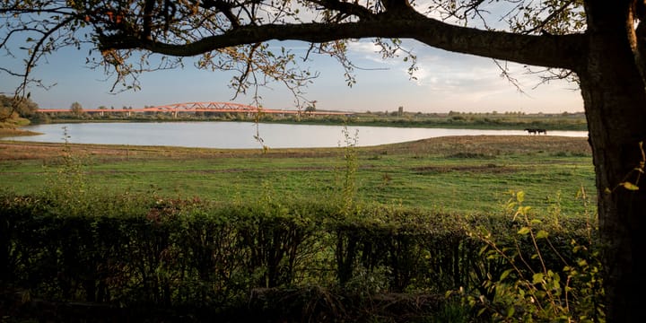 Photo 53 of Het Engelse Werk 1