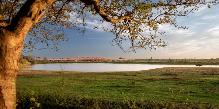 Photo 54 of Het Engelse Werk 1