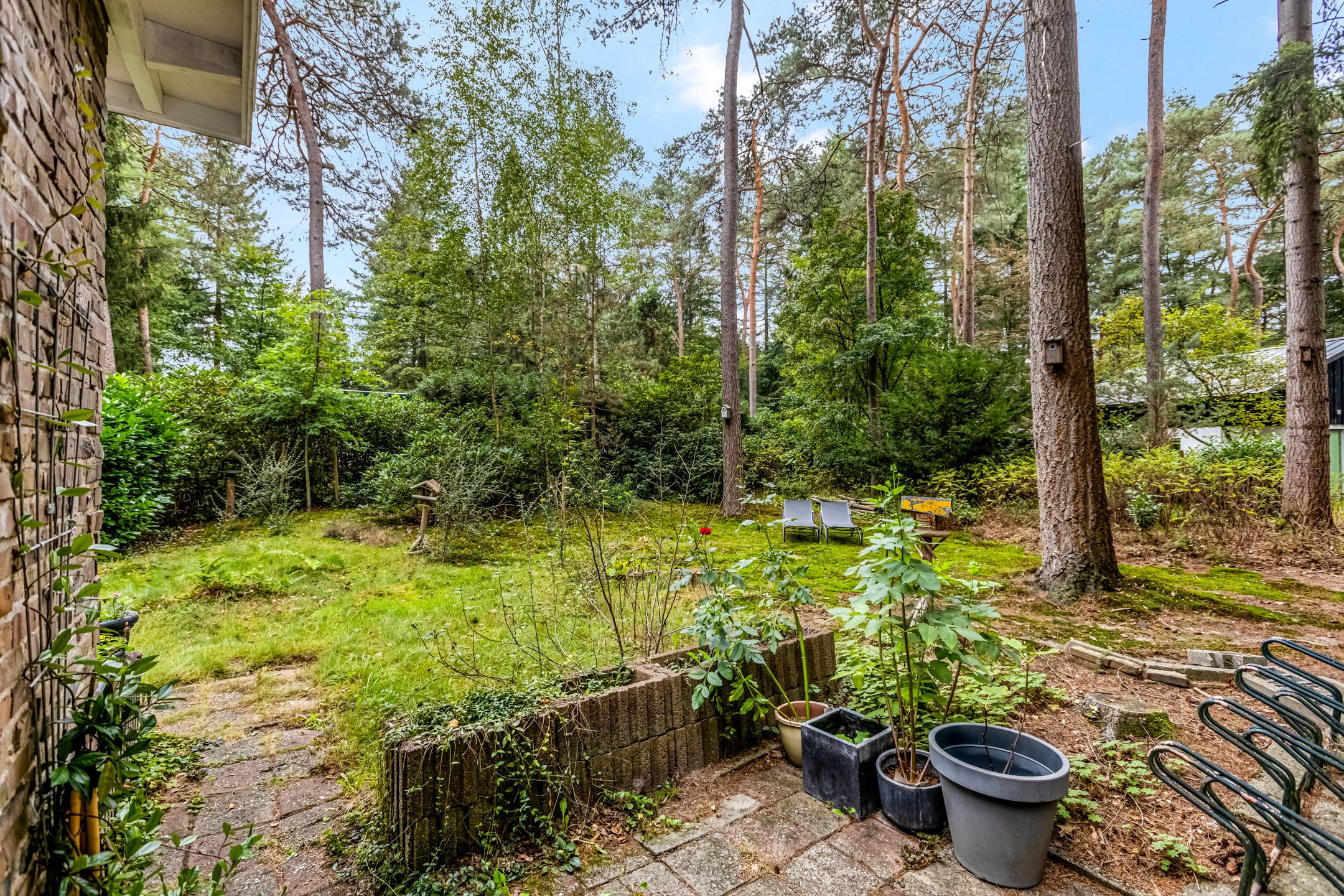 Foto 21 van Laan van Laag Kanje 96-R1