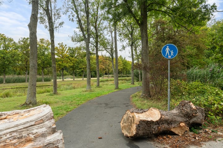 Photo 11 of Oldegaarde 800