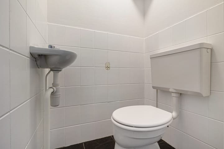 Foto 8 van Tortelduif 55