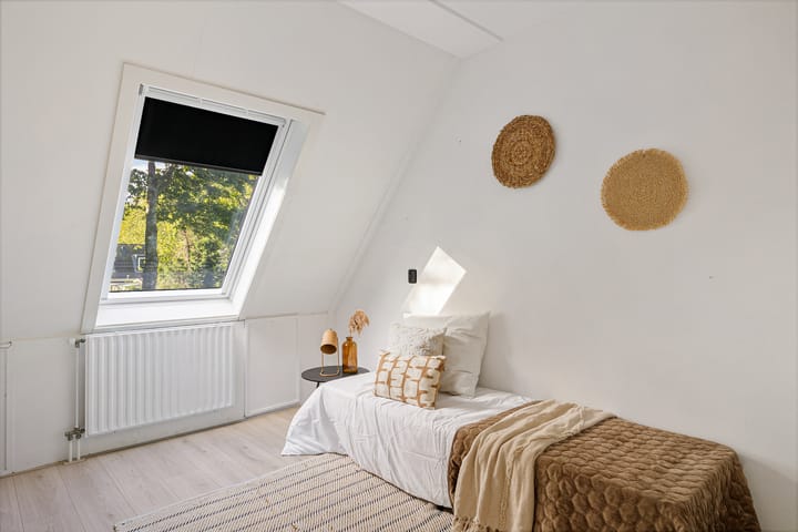 Foto 12 van Tortelduif 55