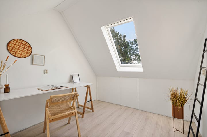 Foto 18 van Tortelduif 55