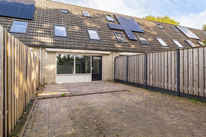 Foto 20 van Tortelduif 55