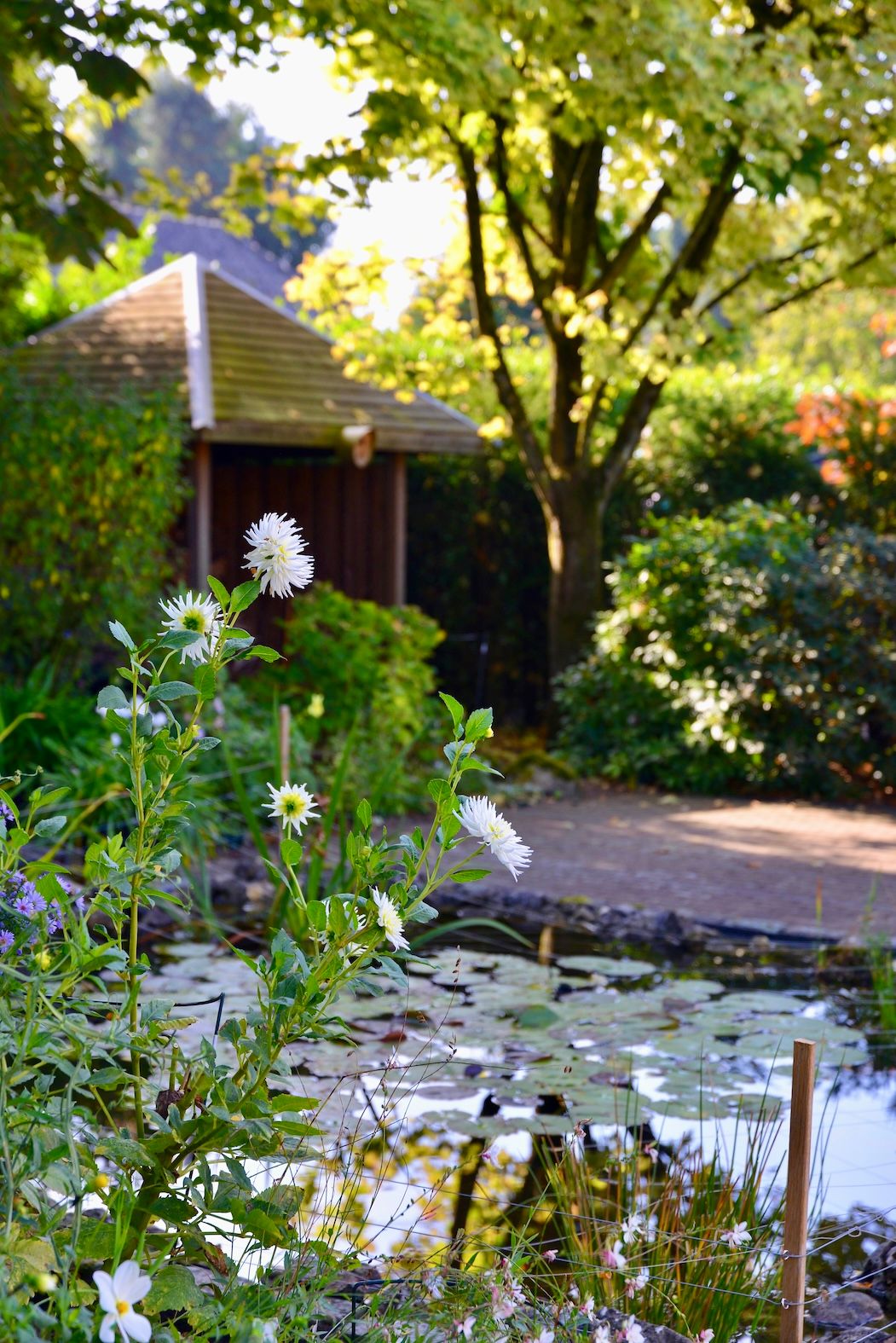 Foto 43 van Heideweg 24