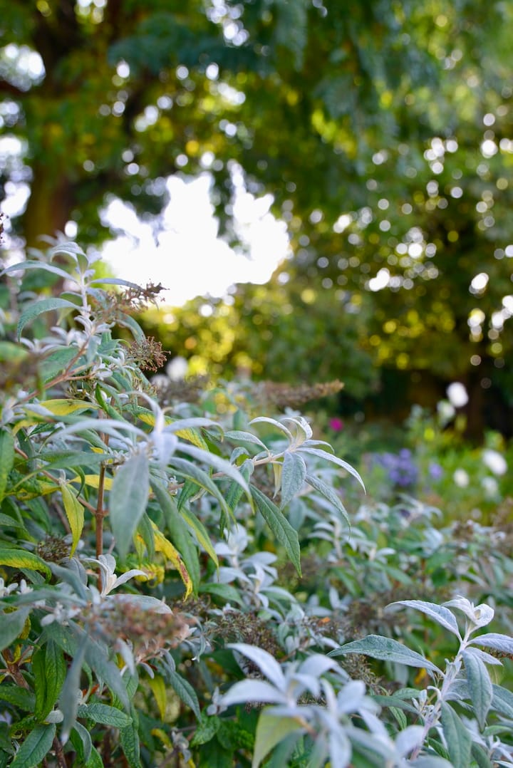 Foto 48 van Heideweg 24