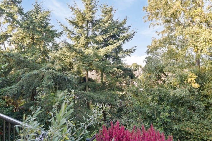 Foto 28 van Diedenweg 101-II