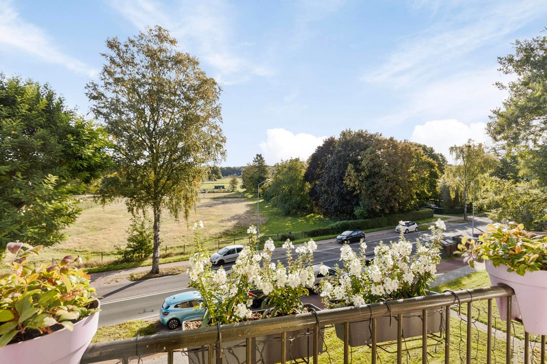 Foto 16 van Diedenweg 101-II