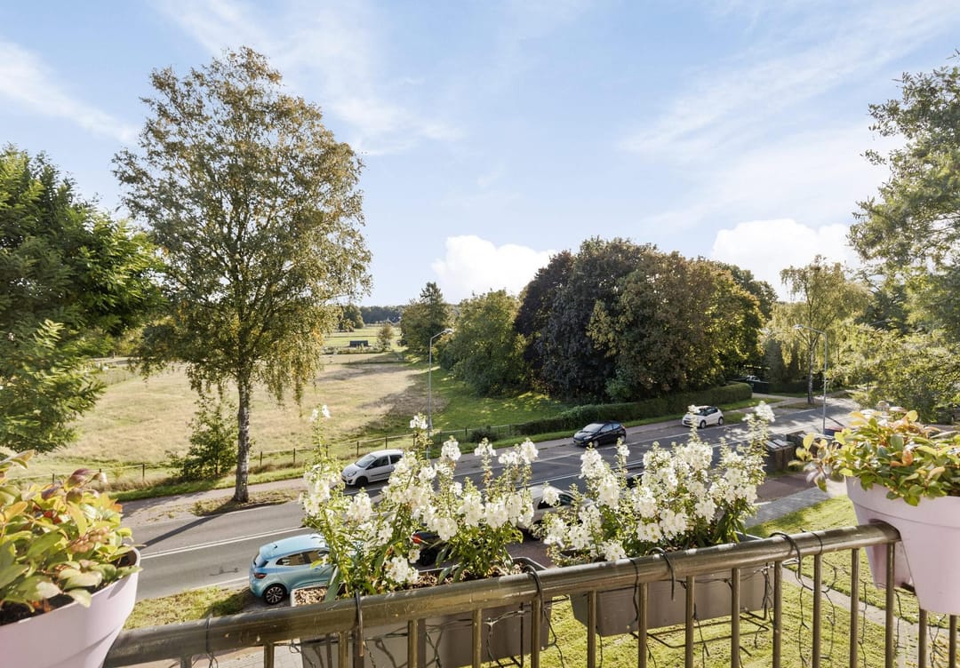 Foto 2 van Diedenweg 101-II