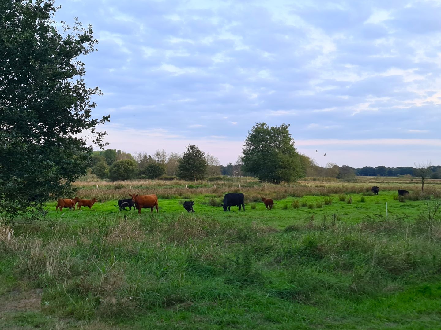 Foto 49 van Hoofdweg 275-A